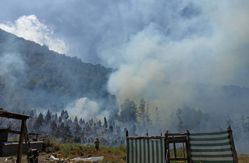 Incendio forestal Biobío: Alerta roja en Santa Juana