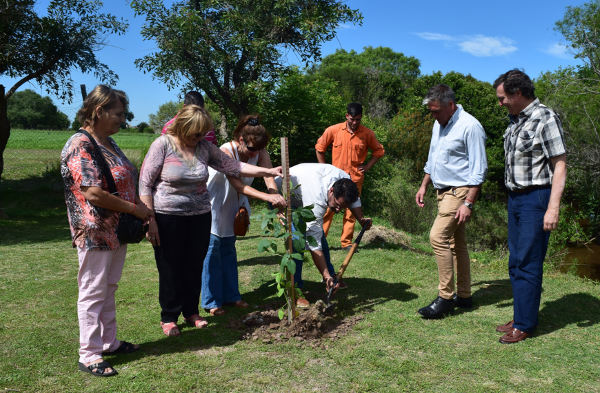 Plantación de árboles en París: ¿Qué especies elegir?