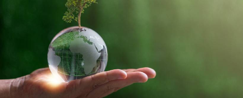 Sostenibilidad y Transparencia: Claves para el Éxito Empresarial