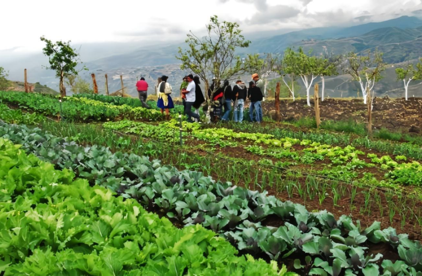Agroecología: Actitudes de Alumnos en la Educación Agrícola