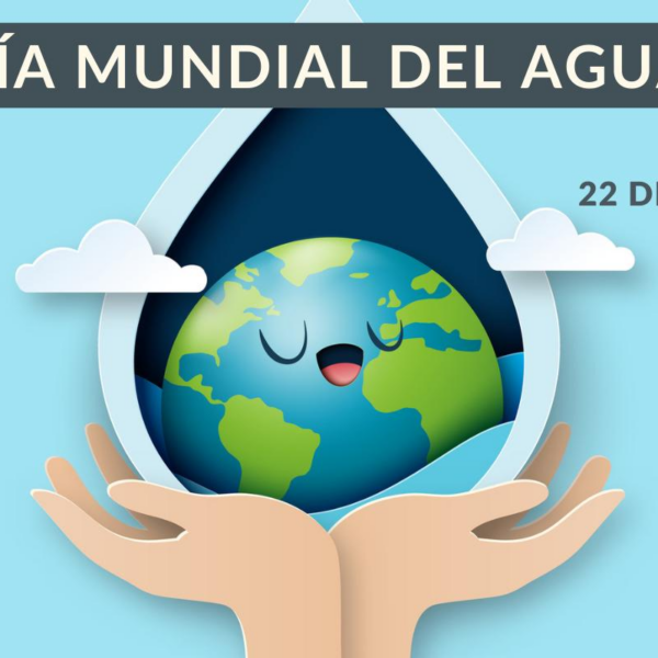 Día Mundial del Agua: Reflexiones sobre Sostenibilidad