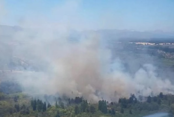 Incendio Forestal Tucapel Declara Alerta Roja Urgente