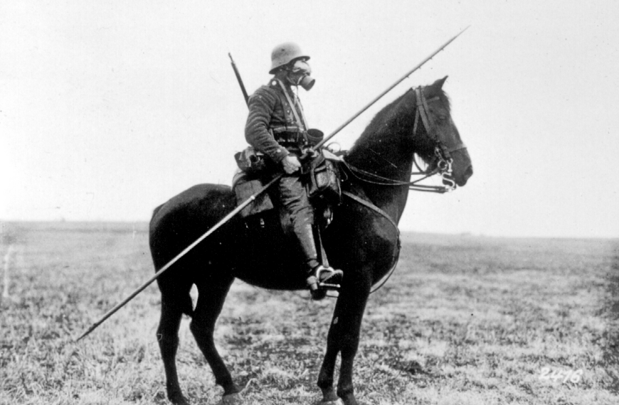 Caballos en la Primera Guerra Mundial: Su dolorosa historia