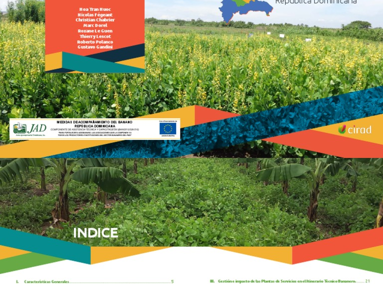 Plantas de servicio: reducción de pesticidas efectiva