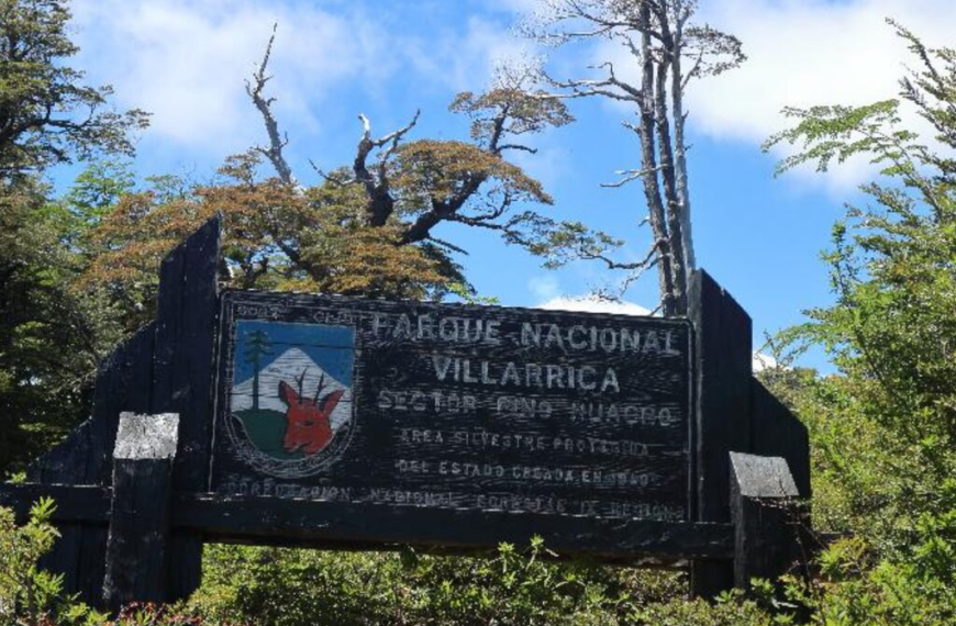 Alerta roja Pucón: Inundaciones y remociones en masa