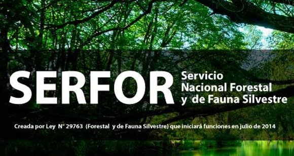 Servicio Nacional Forestal: Nueva Institucionalidad en Chile