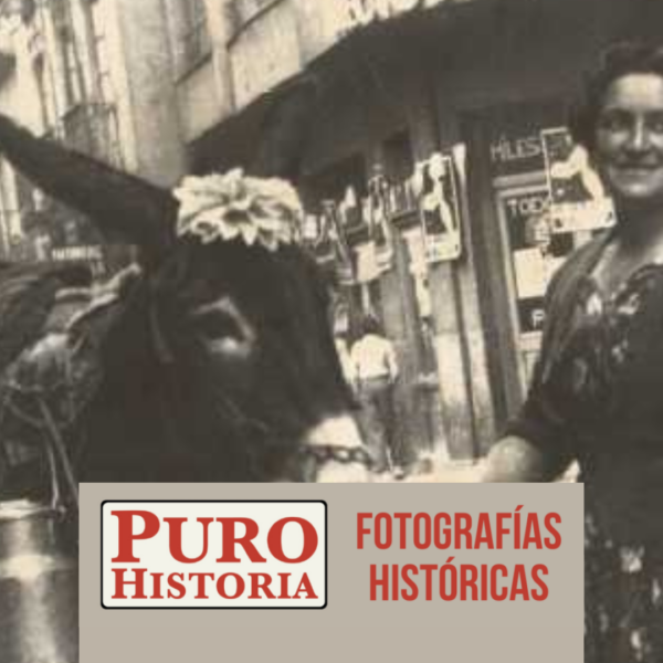 Lecherías urbanas: el nuevo boom del queso local