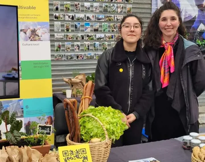 Educación Ambiental: Talleres y Festivales en Puerto Varas