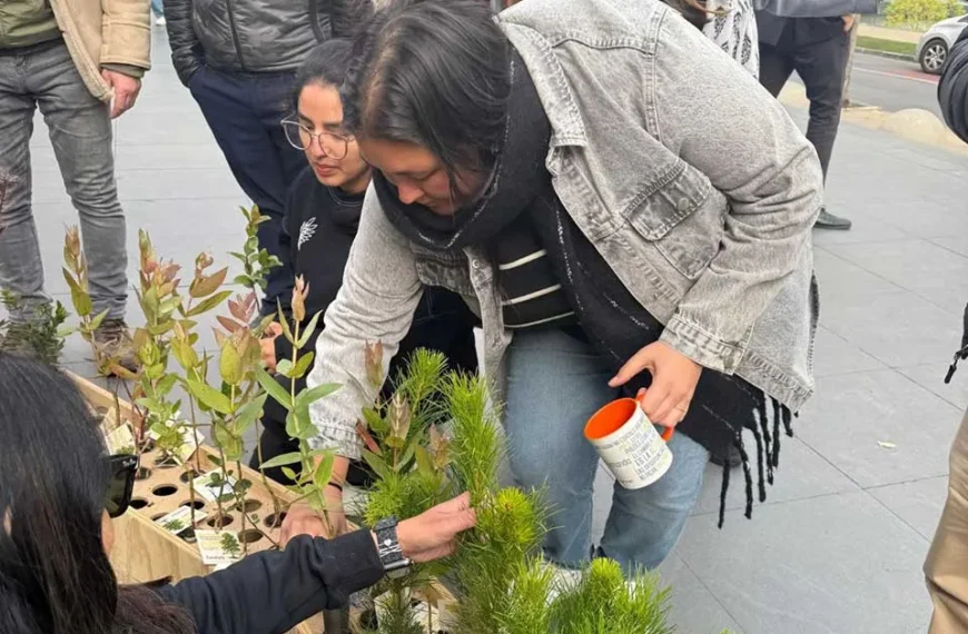 Día del Árbol: ARAUCO Fomenta la Sostenibilidad Ambiental