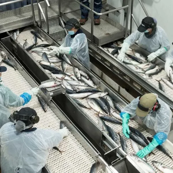 Sostenibilidad en la pesca: logros de Landes 2024