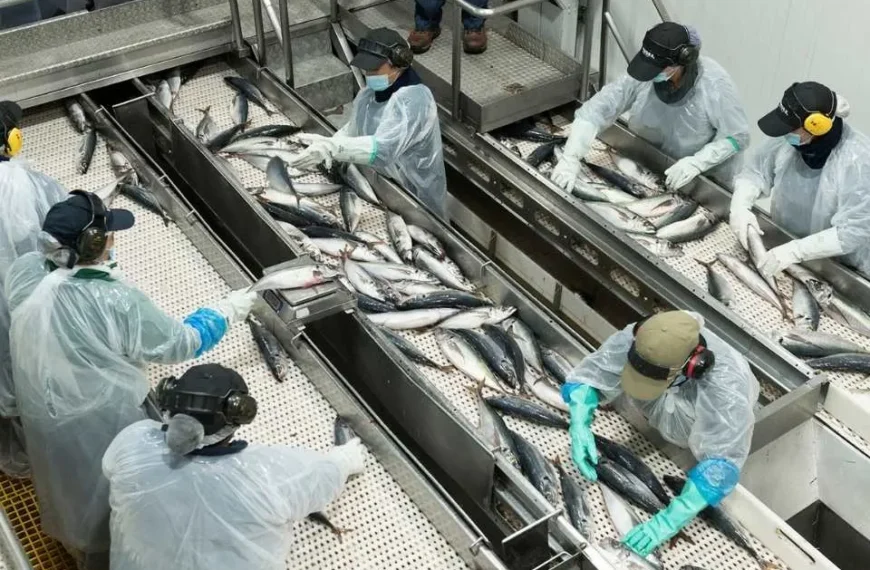 Sostenibilidad en la pesca: logros de Landes 2024