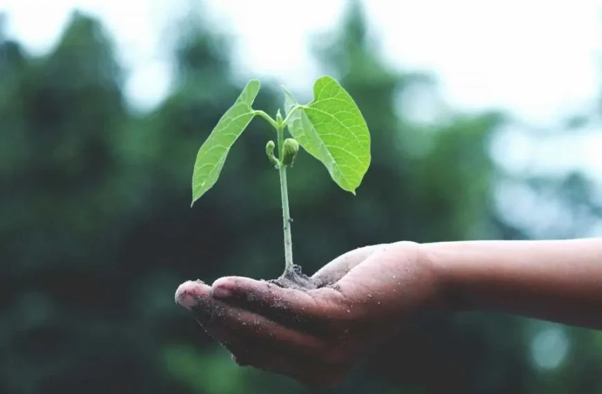 Sostenibilidad en la industria: Clave para el futuro