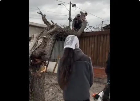 Sistema frontal: Monitoreo de daños y emergencias en Chile