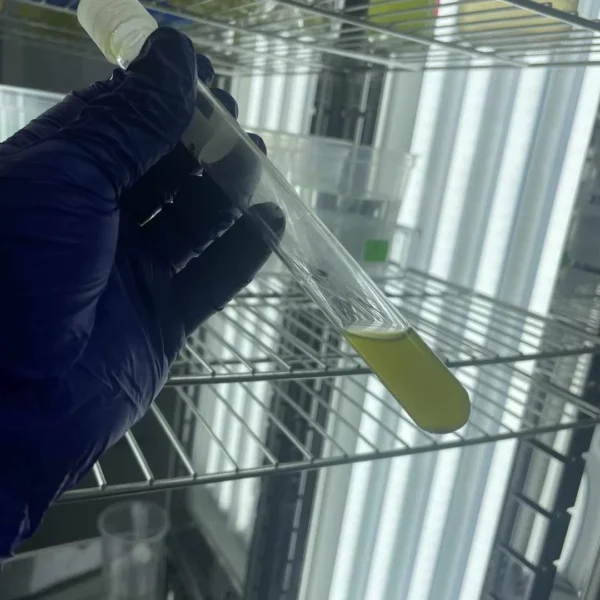 Nanopartículas de Dióxido de Titanio y su Impacto Ambiental