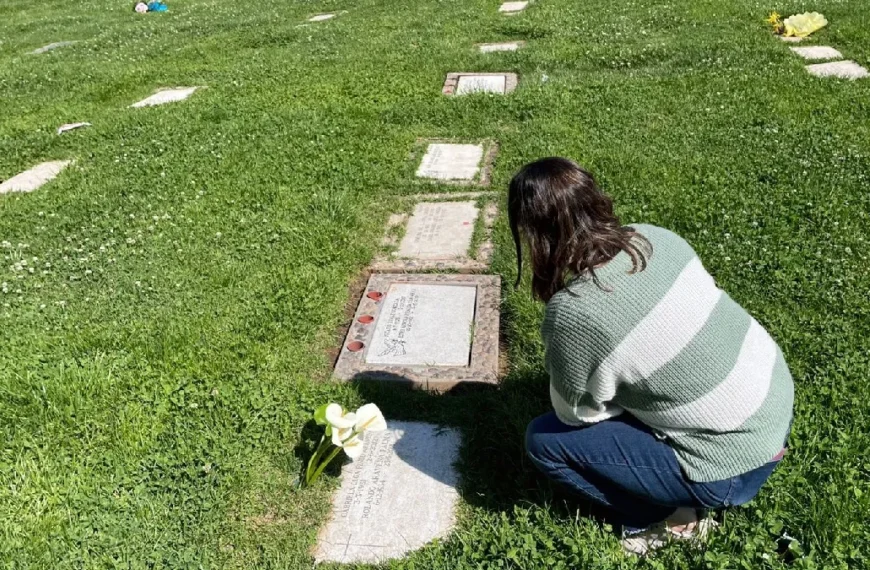 Día del Encuentro: Actividades Especiales en Cementerios