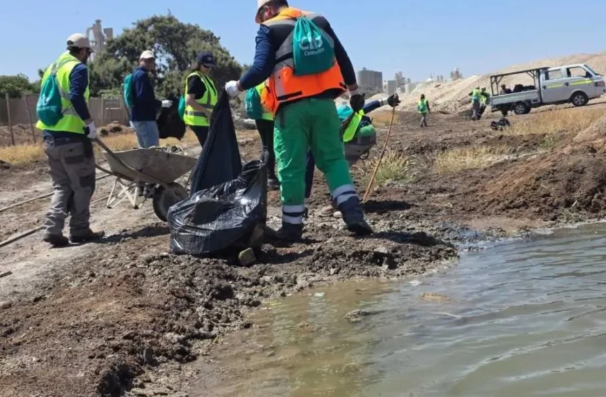 Limpieza Humedal La Negra: Cuidando Nuestro Entorno
