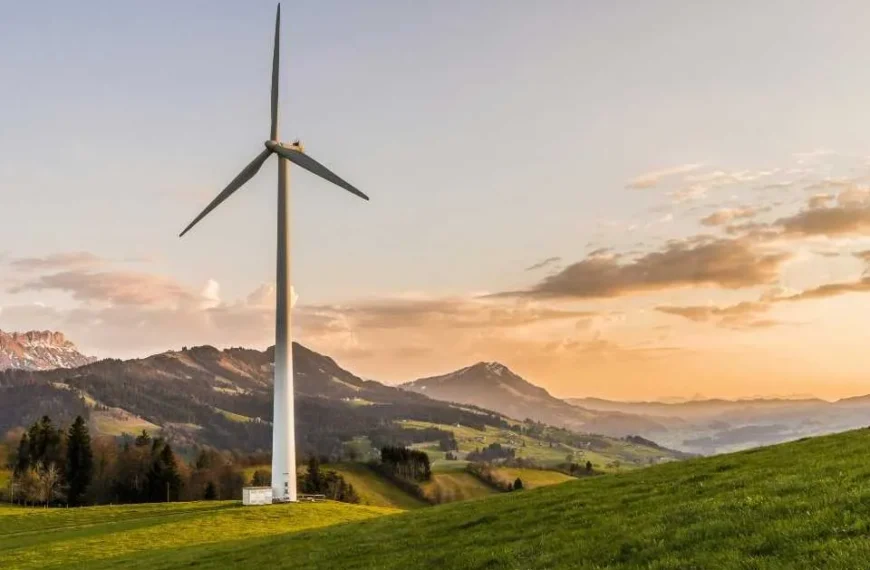 Sostenibilidad: Oportunidades y Desafíos en el Futuro