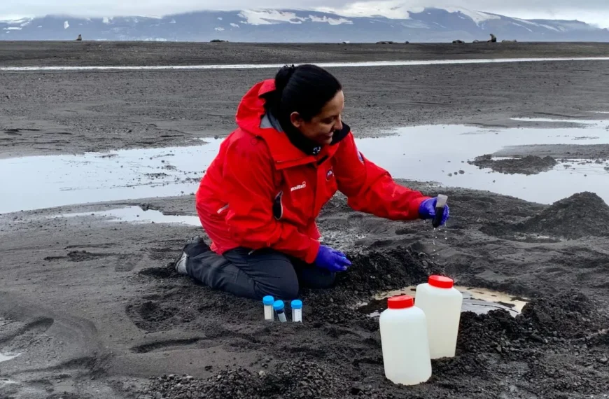 Polisacáridos naturales: un avance en aditivos alimentarios