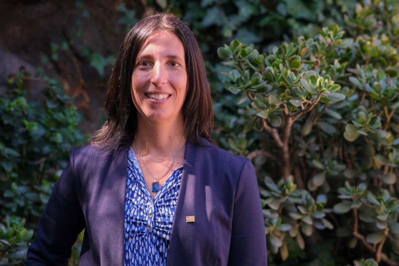 Energía Solar en Chile: Avances y Retos de SERC Chile