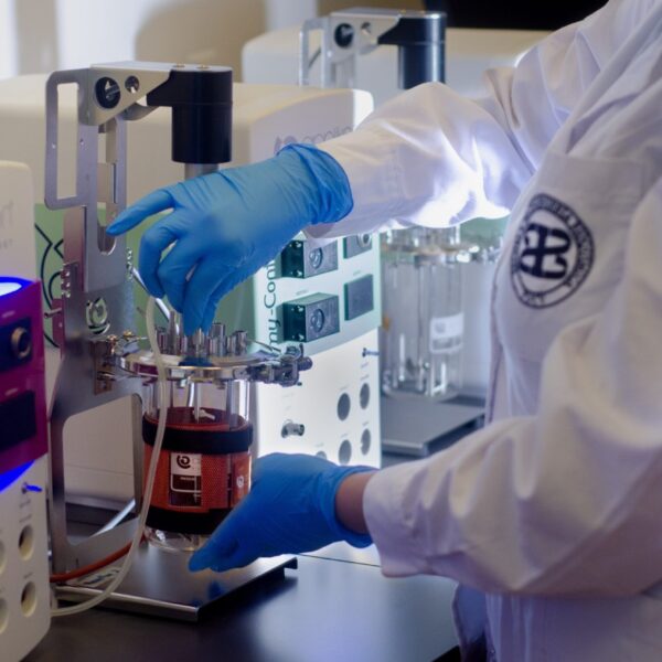 Biopolímero: La Innovación para Combatir la Contaminación de Relaves Mineros
