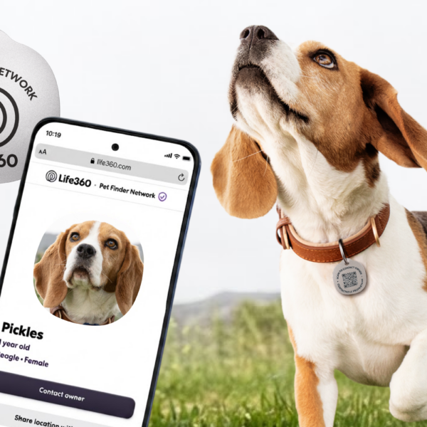 Seguimiento de Mascotas: ¿Cómo Life360 Revoluciona su Seguridad?