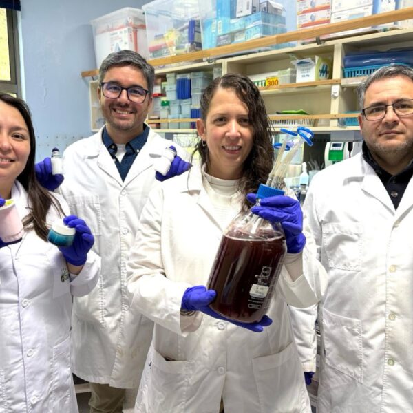 Carragenina Lambda: Innovaciones en Biotecnología que Cambian la Industria