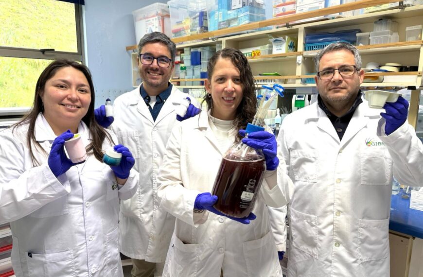 Carragenina Lambda: Innovaciones en Biotecnología que Cambian la Industria