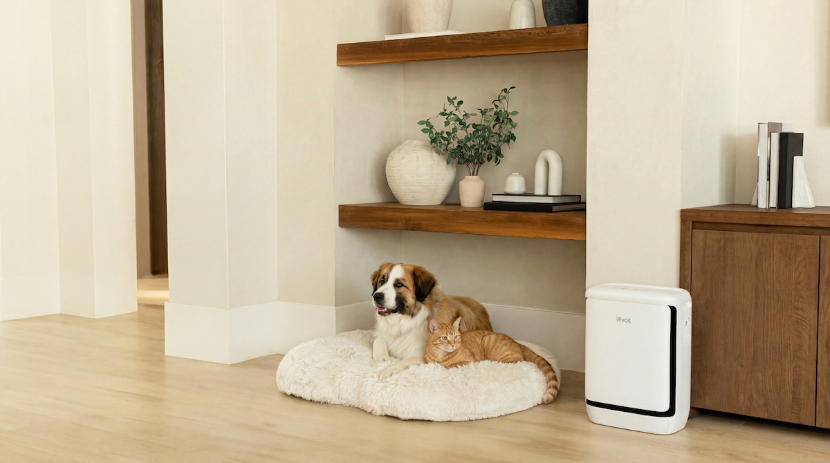 Purificador de aire para mascotas: ¿Puede realmente quitar olores?
